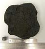 DOM 08006 Meteorite Sample Photograph Showing Top View